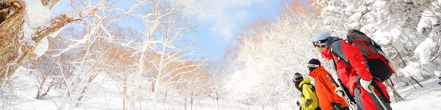 安比高原滑雪场（岩手县）