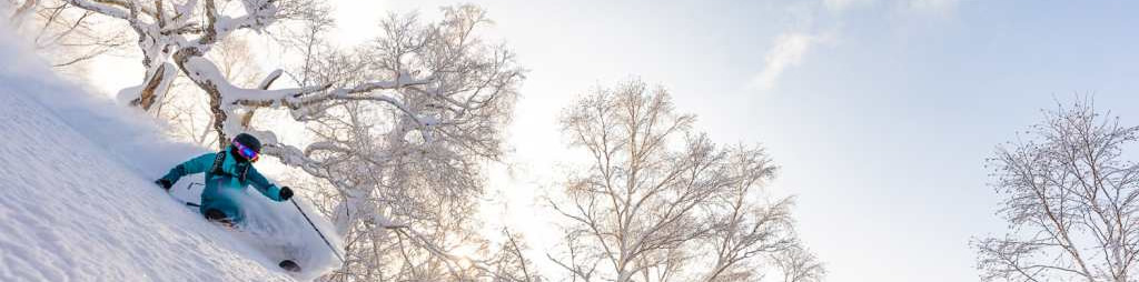 富良野滑雪场