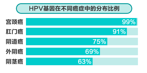 HPV病毒有哪些类型