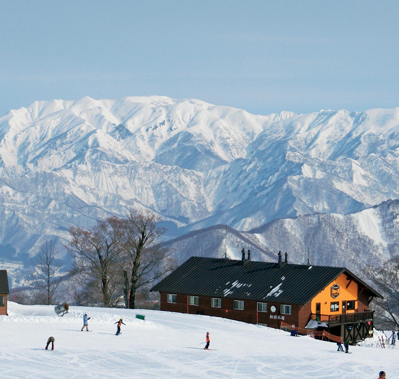 KAGURA滑雪场(新潟县)