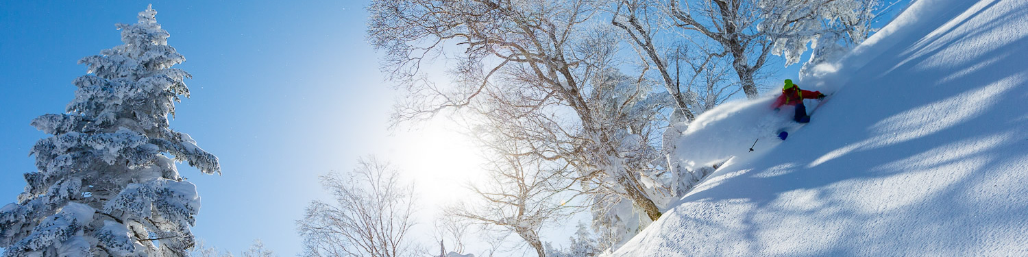 野泽温泉滑雪场（长野县）