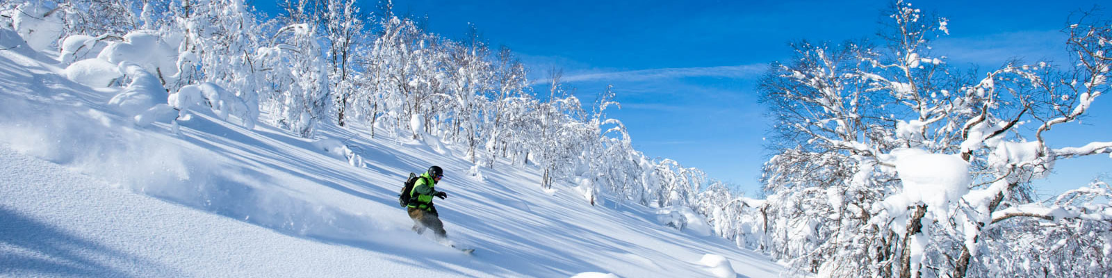 佐幌度假村（SAHORO RESORT）