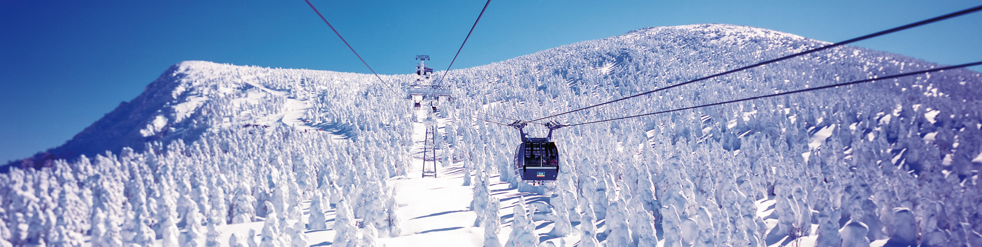 藏王温泉滑雪场（山形县）