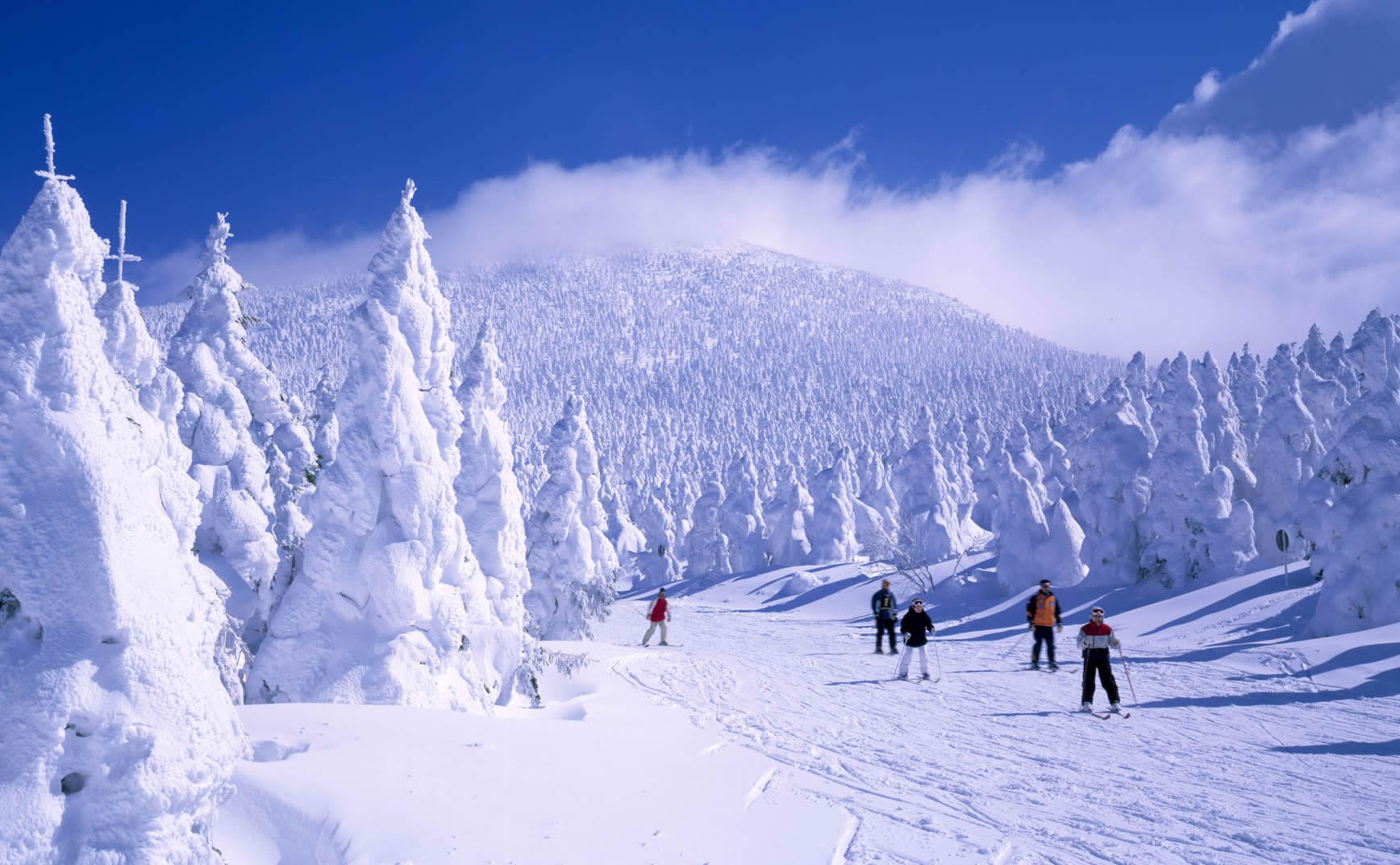 藏王温泉滑雪场(山形县)